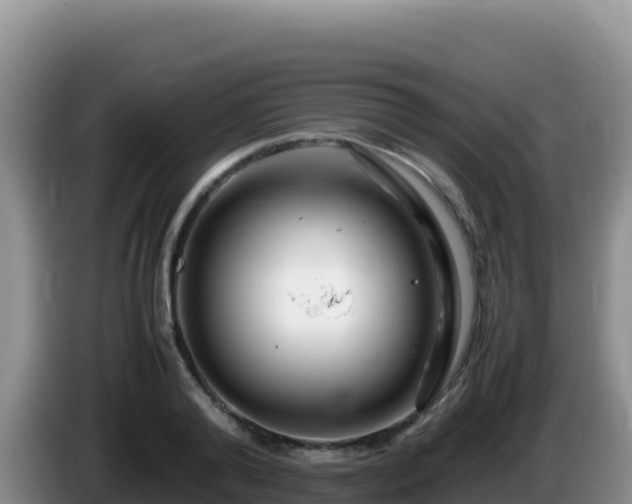 X0000086260792200704051301