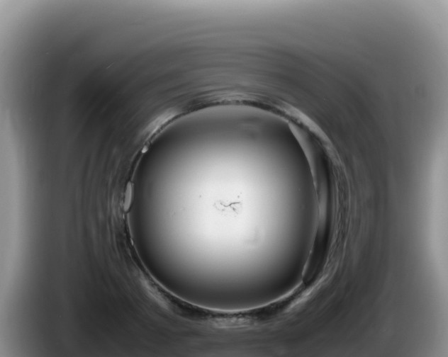 X0000086260793200704051301