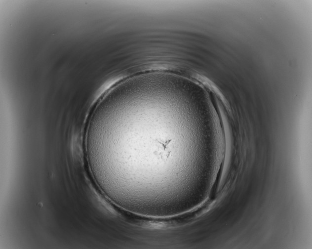 X0000086260794200704051301