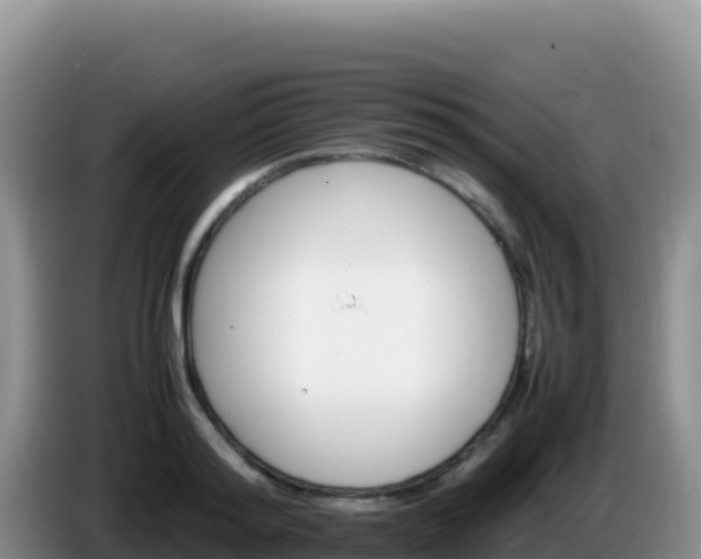 X0000086260796200704051301