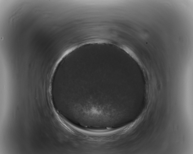 X0000086260797200704051301