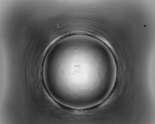 X0000086260799200704051301