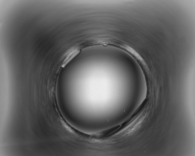 X0000086260801200704051301