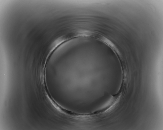X0000086260802200704051301