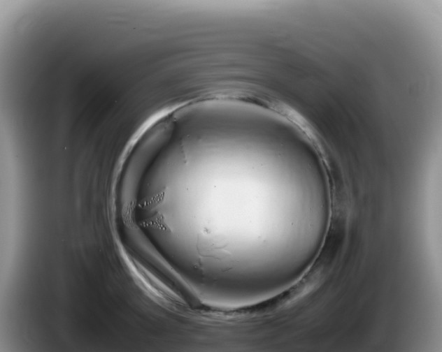 X0000086260803200704051301