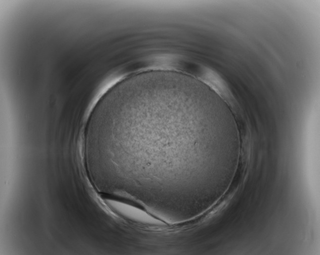 X0000086260804200704051301
