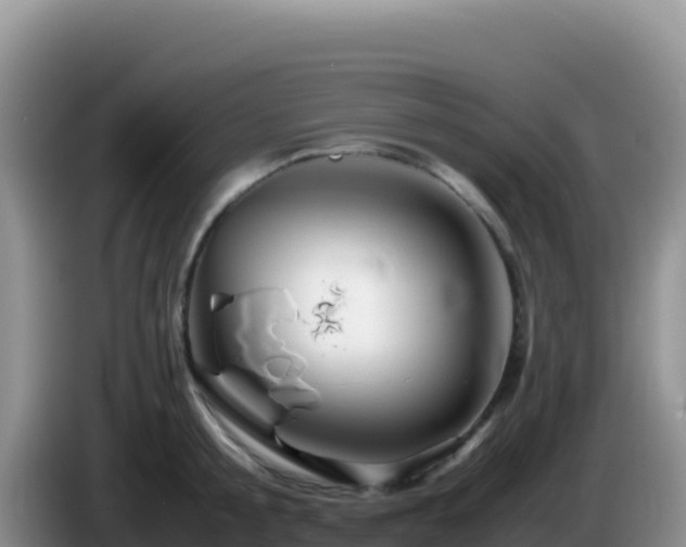 X0000086260805200704051301