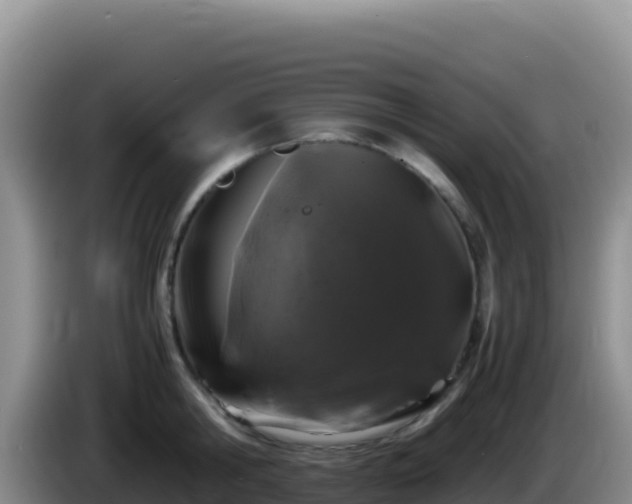 X0000086260806200704051301