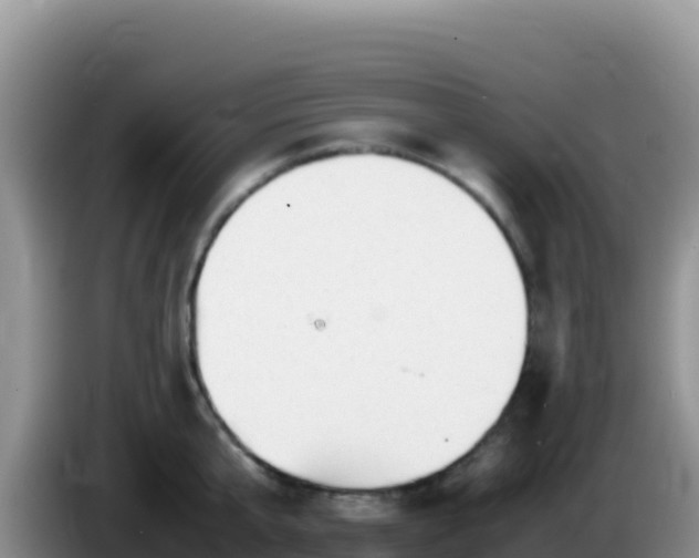 X0000086260807200704051301