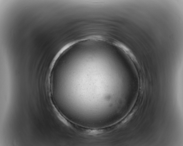 X0000086260808200704051301