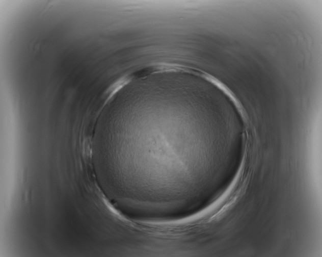 X0000086260809200704051301