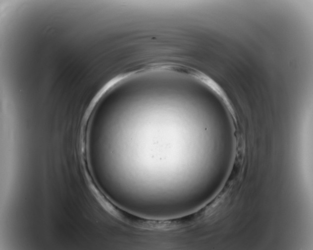 X0000086260811200704051301
