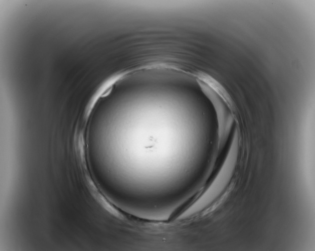 X0000086260812200704051301