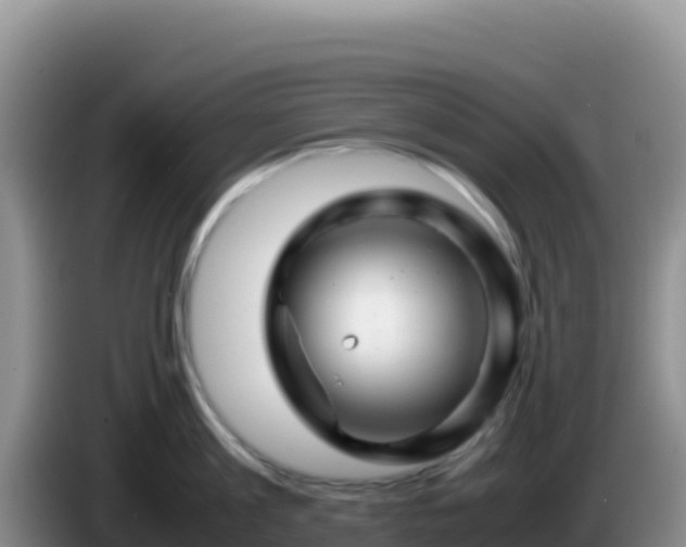X0000086260813200704051301