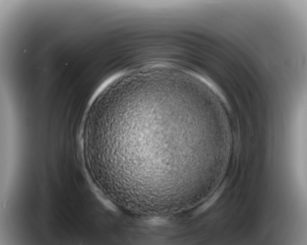 X0000086260814200704051301
