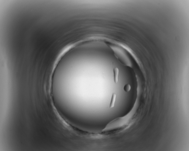 X0000086260815200704051301