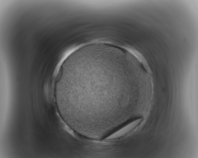 X0000086260816200704051301