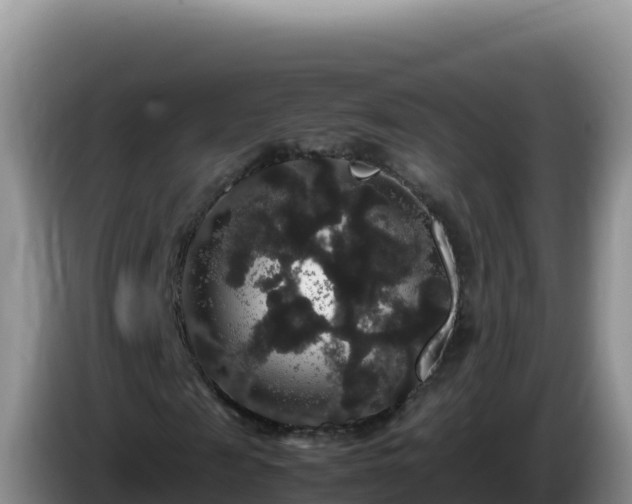 X0000086260817200704051300