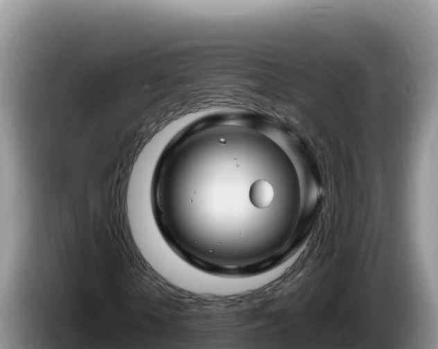 X0000086260818200704051300