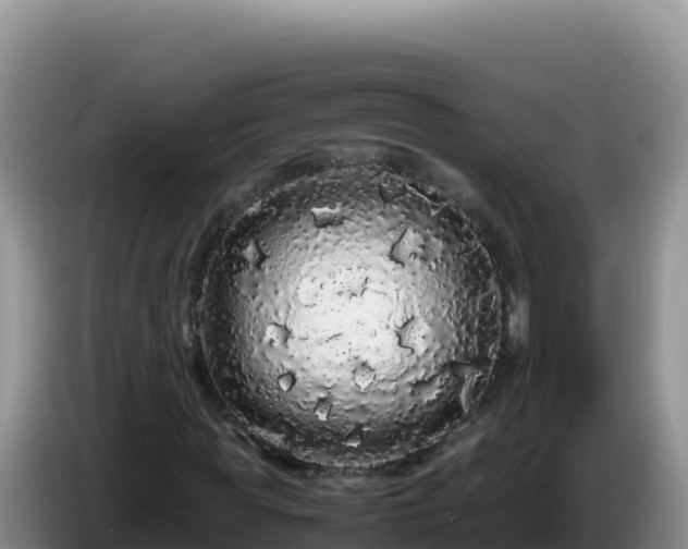 X0000086260819200704051300