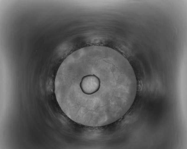 X0000086260820200704051300