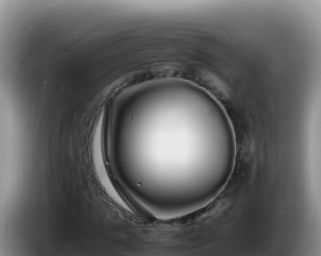 X0000086260821200704051300
