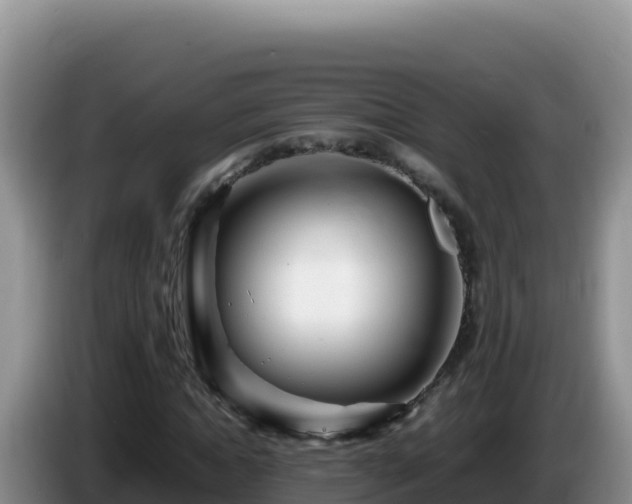X0000086260822200704051300