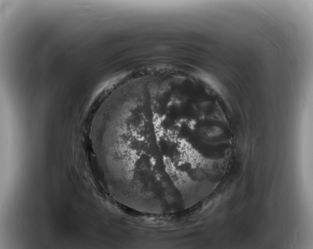 X0000086260823200704051300
