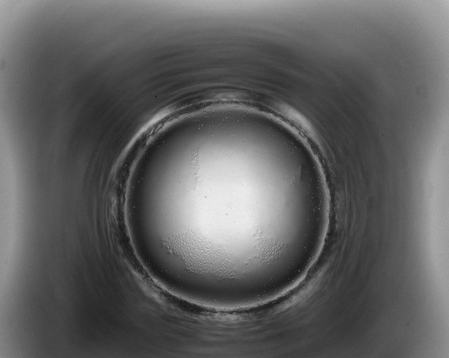 X0000086260827200704051300