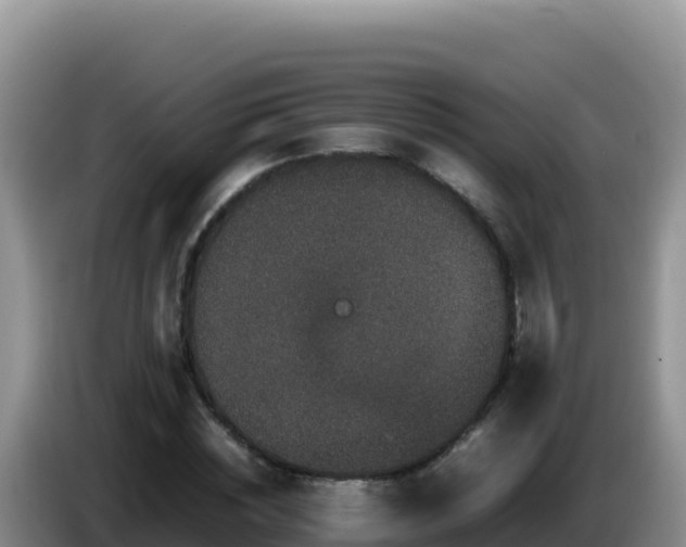 X0000086260828200704051300