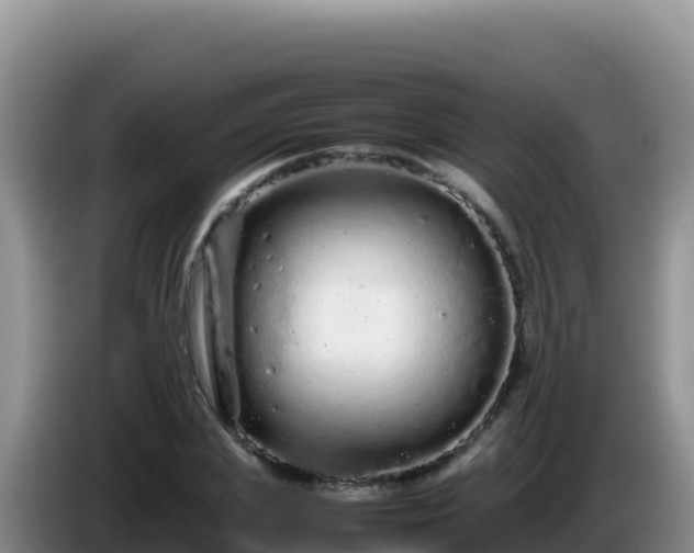 X0000086260831200704051300