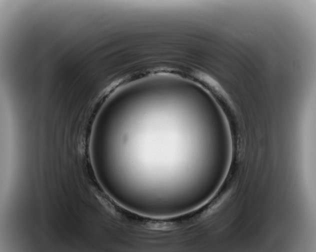 X0000086260833200704051300
