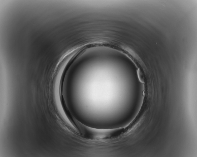 X0000086260834200704051300