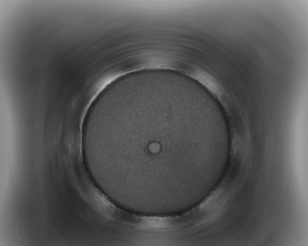 X0000086260836200704051300