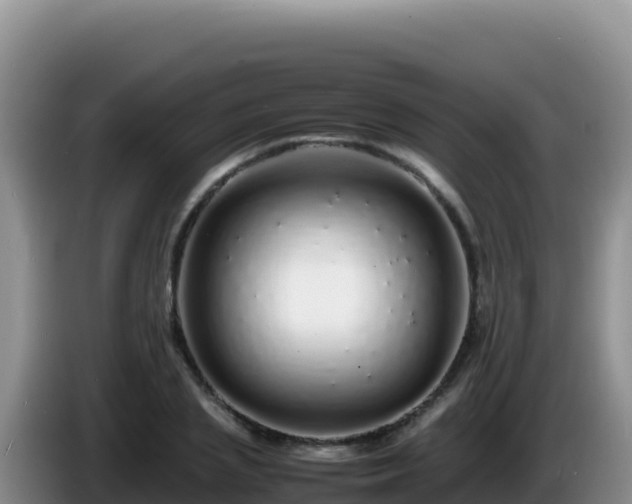 X0000086260837200704051301