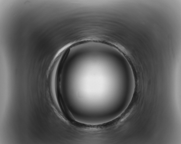 X0000086260838200704051301