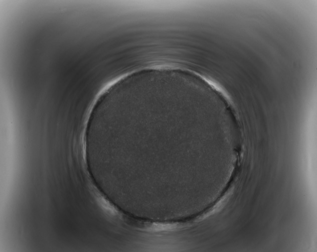 X0000086260840200704051301
