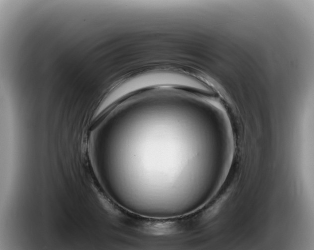 X0000086260841200704051301