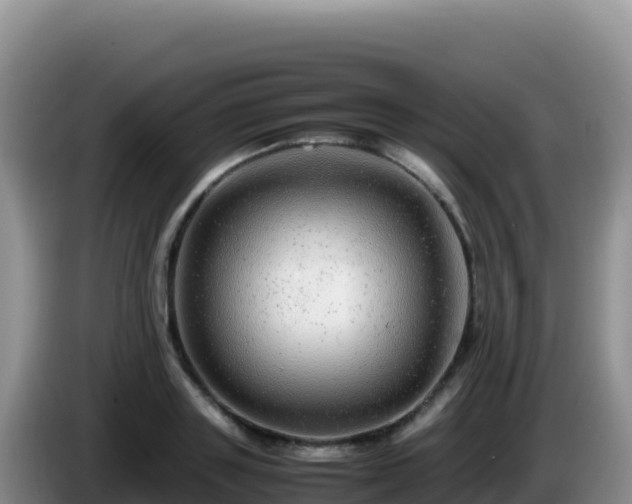 X0000086260843200704051301