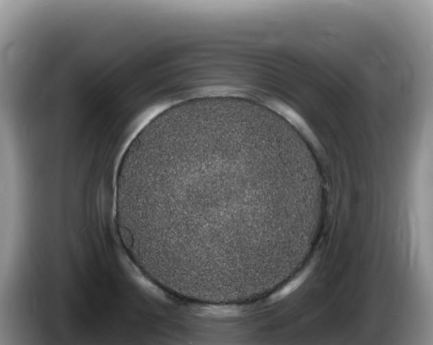 X0000086260844200704051301