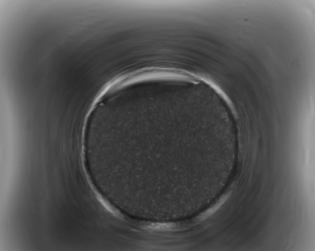 X0000086260845200704051301