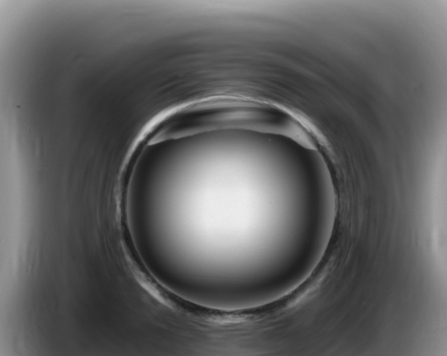 X0000086260846200704051301