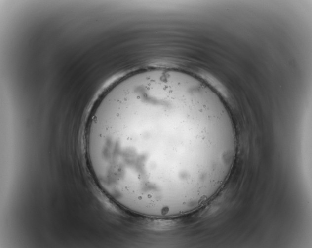 X0000086260848200704051301