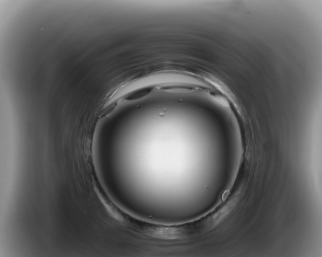 X0000086260849200704051301
