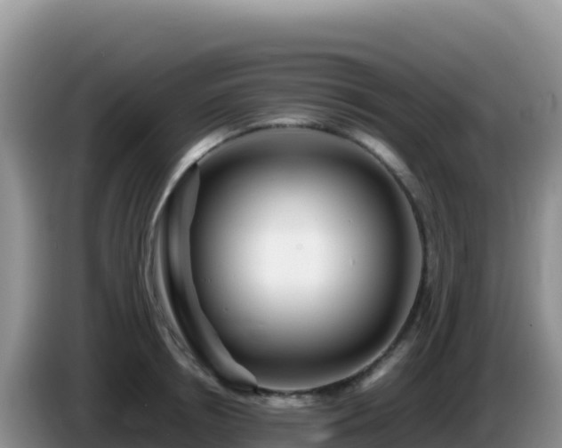 X0000086260850200704051301