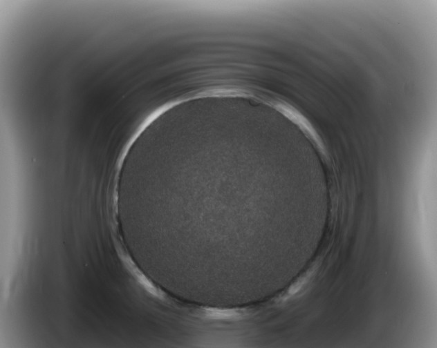 X0000086260852200704051301