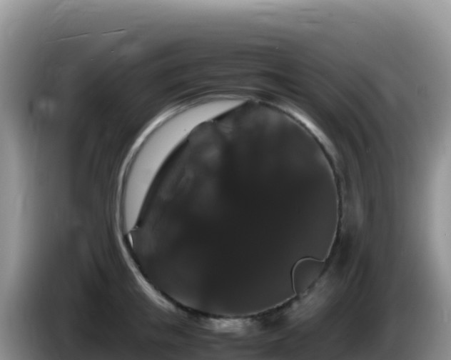 X0000086260853200704051301