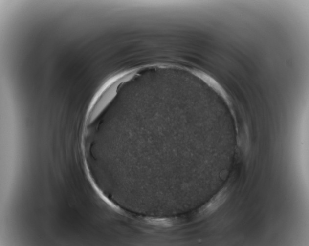 X0000086260855200704051301