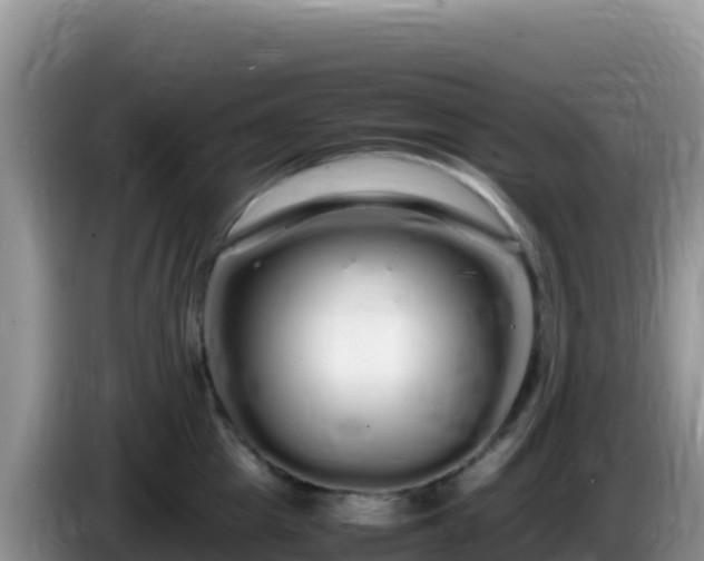 X0000086260857200704051301