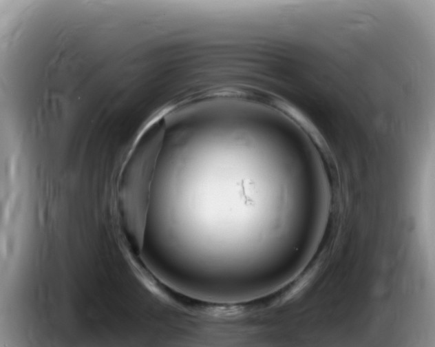 X0000086260858200704051301